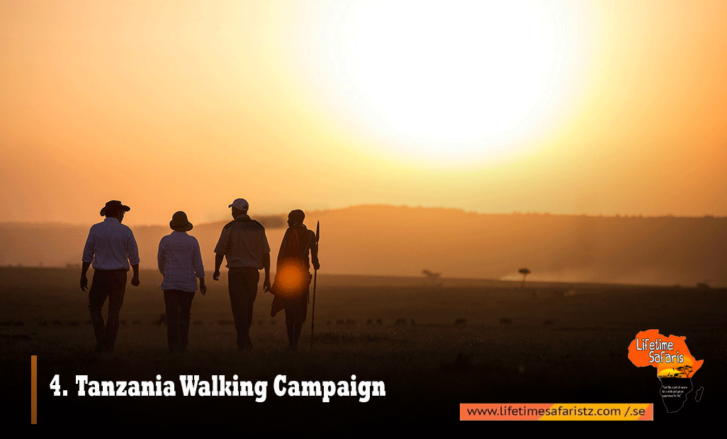 Tanzania-Walking-Campaign