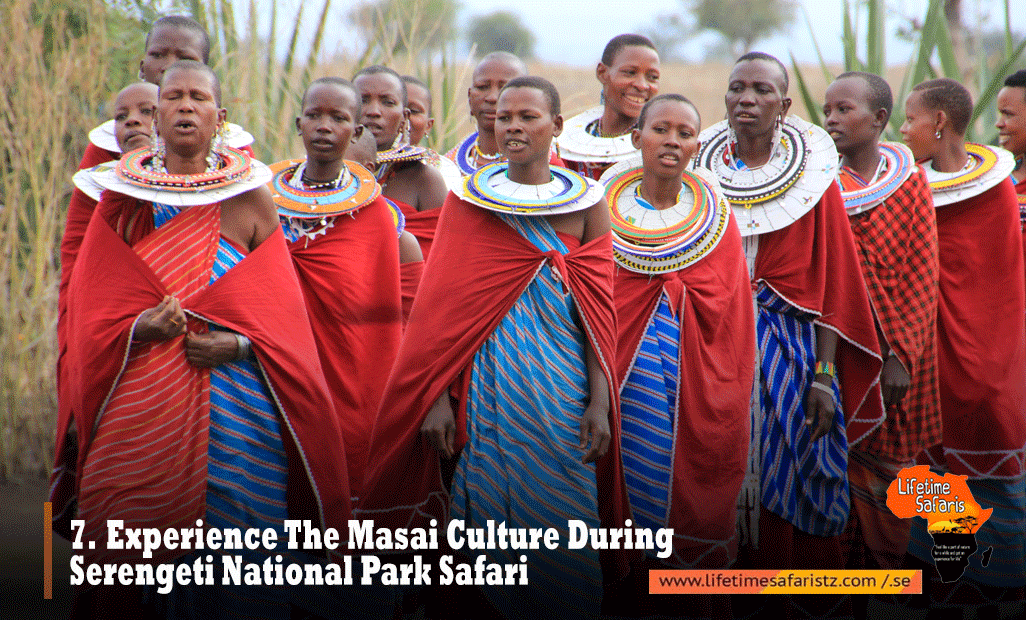 EXPERIENCE THE MASAI CULTURE DURING SERENGETI NATIONAL PARK SAFARI