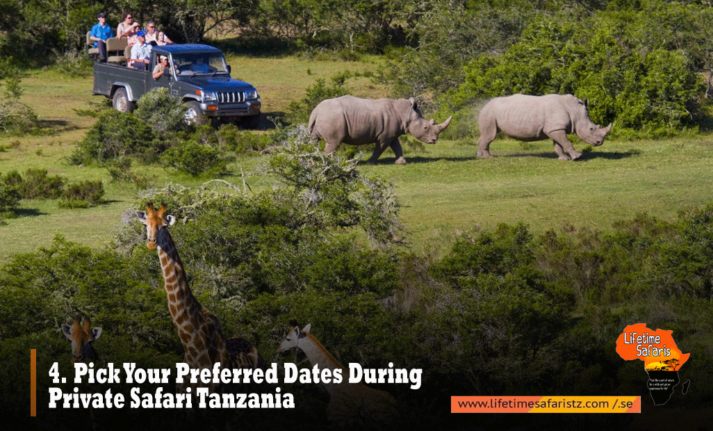 Private Safari Tanzania