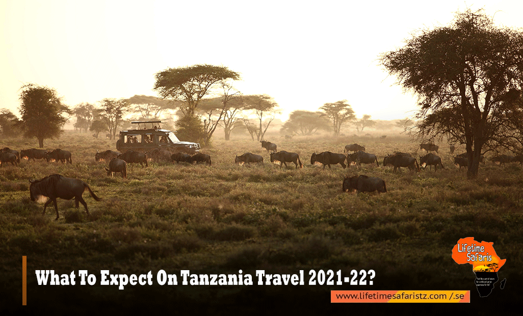 Tanzania Travel 