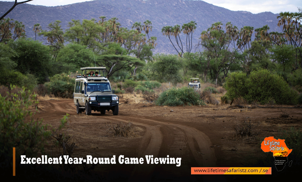 Excellent Year-Round Game Viewing