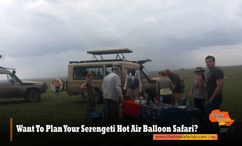 Serengeti Hot Air Balloon Safaris 