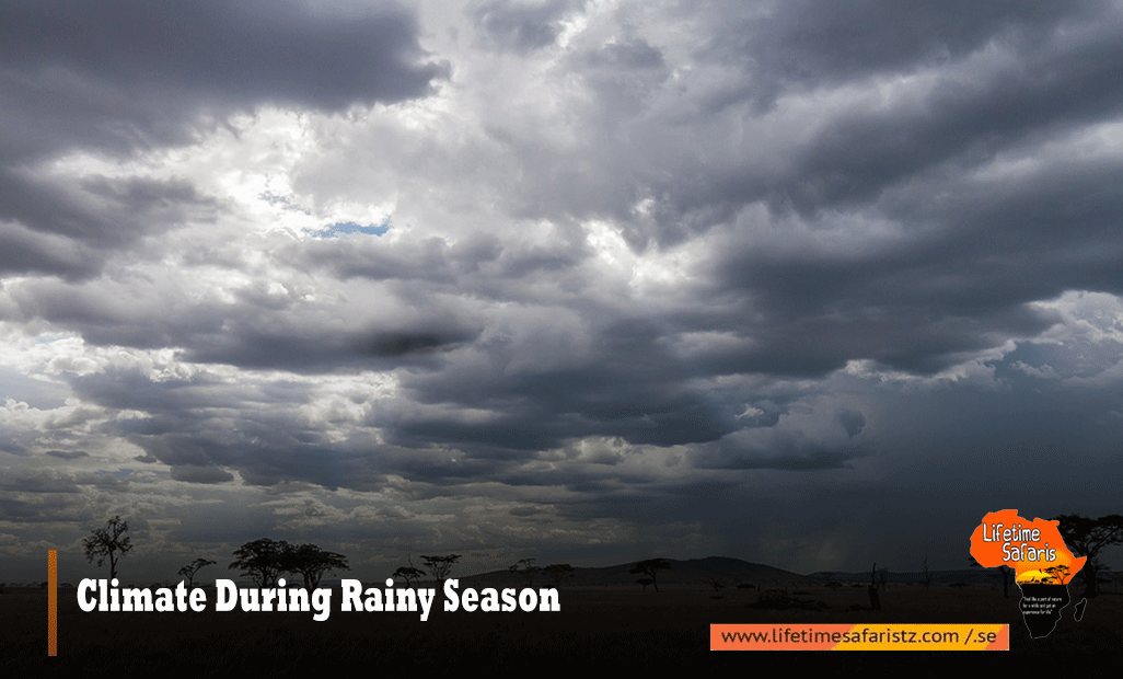 Climate-During-Rainy-Season