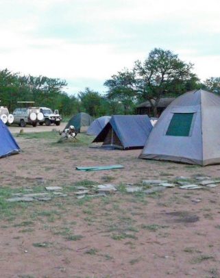 Serengeti Budget Camping Safari