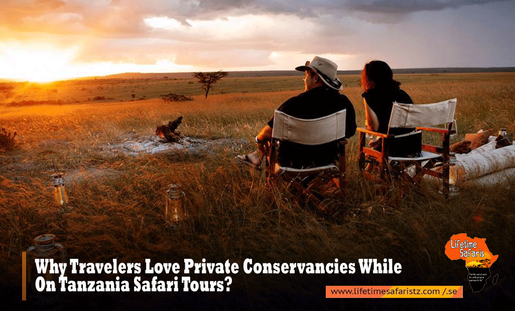 Why Travelers Love Private Conservancies While On Tanzania Safari Tours?